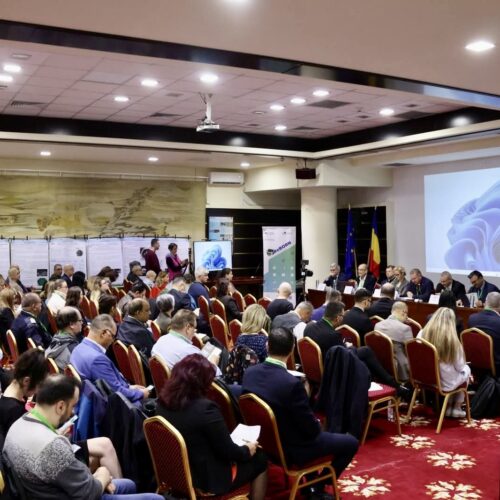 Cercetarea ca vector al transformării verzi. Dialogul științei cu economia reală